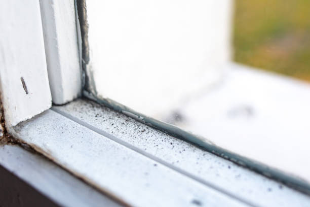 Best Mold Remediation for Healthcare Facilities  in Carnesville, GA