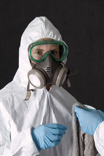 Carnesville, GA Mold Removal Company